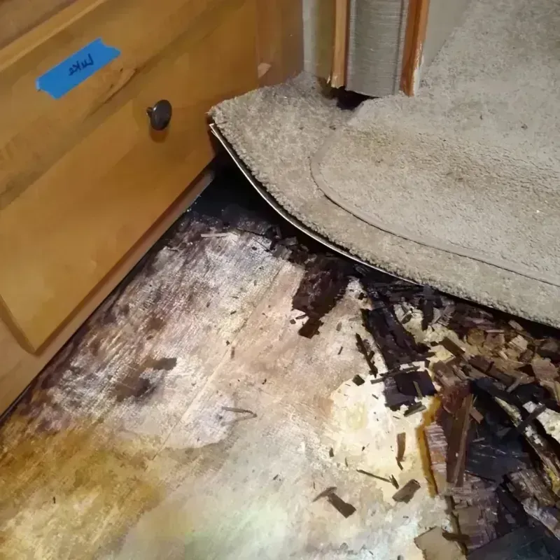 Wood Floor Water Damage in Commerce, GA